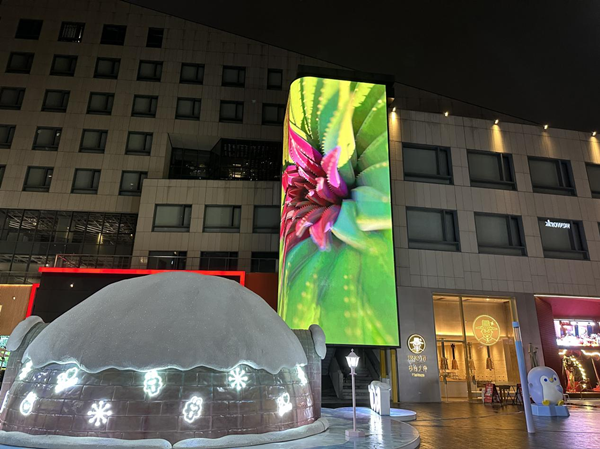 Giant Outdoor LED Screen
