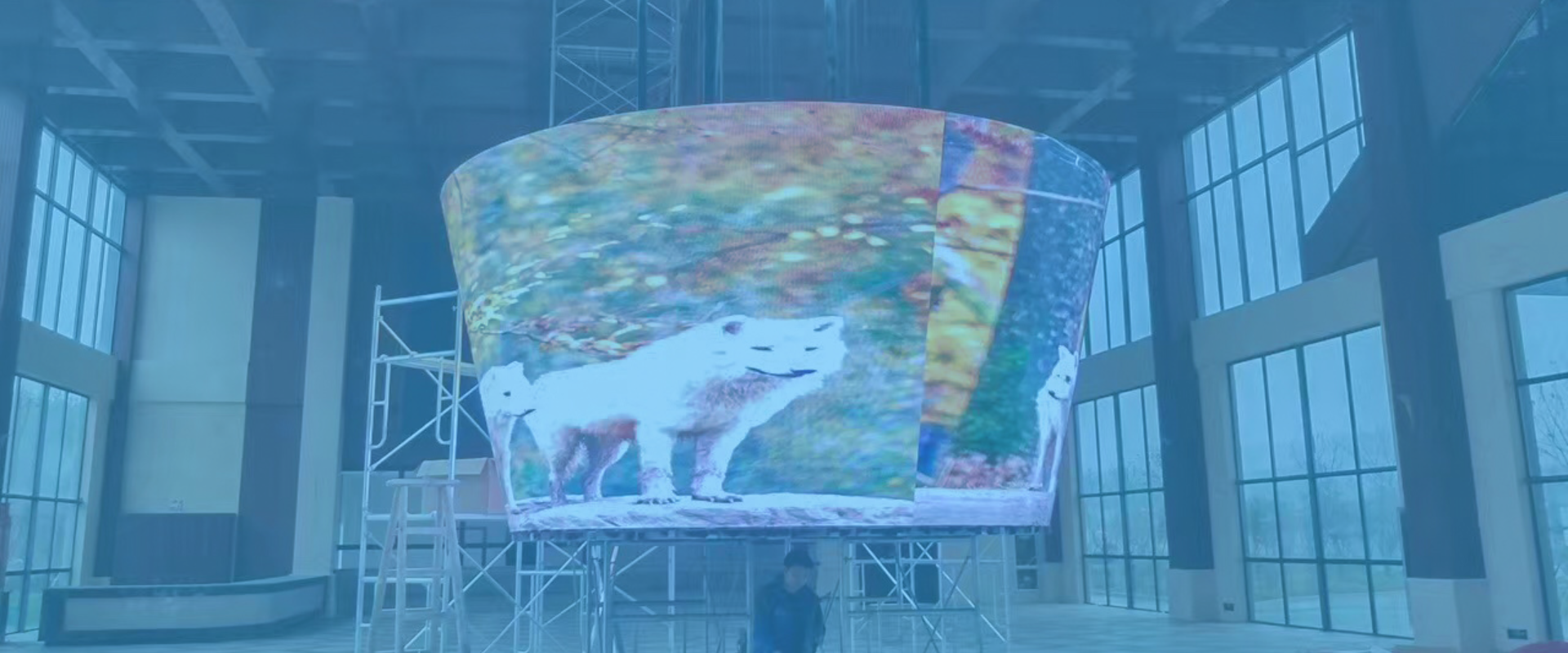 Stop Settling for Ordinary Displays — Turn Every Space Into a Visual Experience