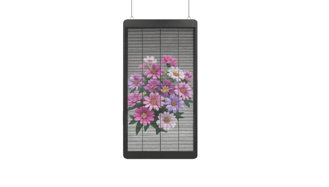 Transparent LED Banner
